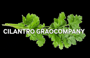 Store Agriculture GIF by Graocompany