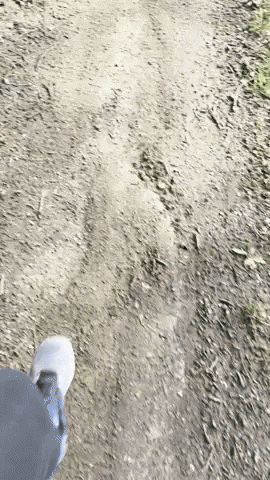 GIF by USBREWERYRUN
