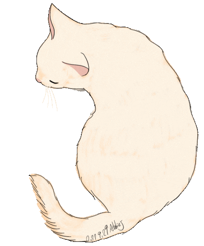 Cat Justin Sticker