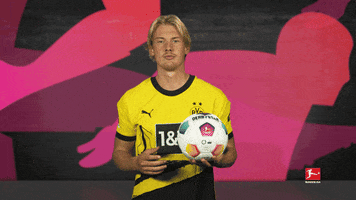 Borussia Dortmund Ball GIF by Bundesliga