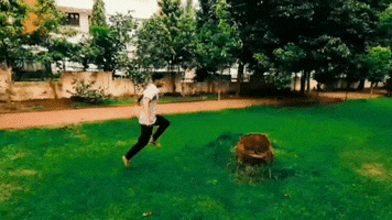Animated GIF