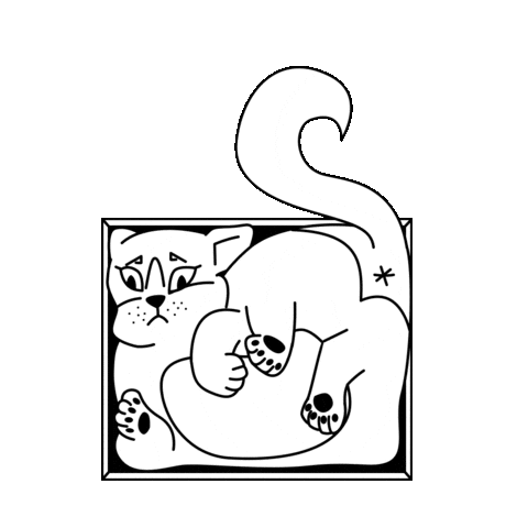 Cat Sticker