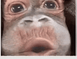 haters GIF