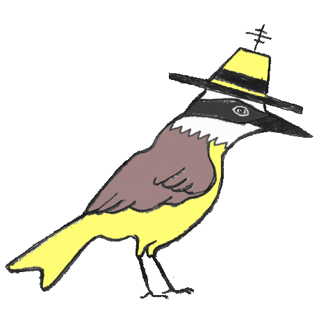 Bird Pajarito Sticker