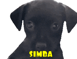 Simba Sticker by Alex Moreno