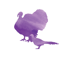 Turkeys Sticker by Belstra Milling Company