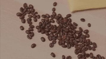 Video gif. Shot pans over a table top covered with spilled coffee beans to a mug of freshly made latte. Latte art shows a blurred image of two breasts with text above them saying "send nudes".