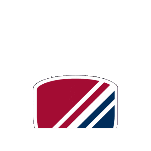 Shield Sticker by Dexter Southfield