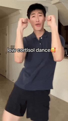 Dance Dancing GIF