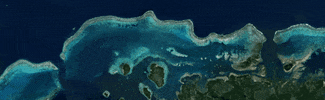 Allen Coral Atlas GIF