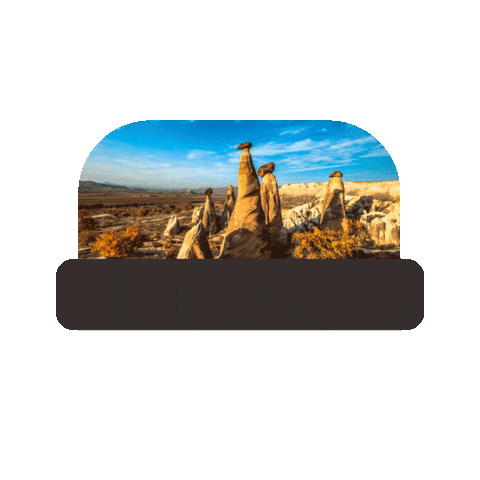 turfirsati Sticker