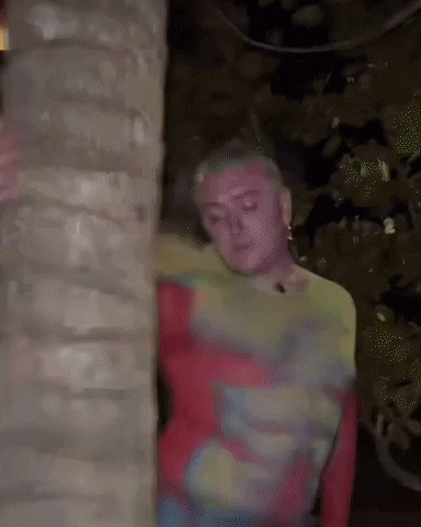 giphy.gif?cid=9b38fe91jvmv4jwo71g02higzm3obvgxugge6fxle186m29b&ep=v1_gifs_username&rid=giphy.gif&ct=g