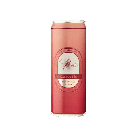 Sparklingwine Spritzer Sticker by Rava Wines