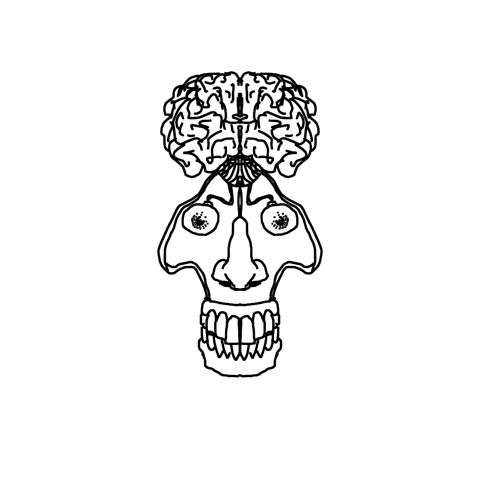 black and white brain GIF