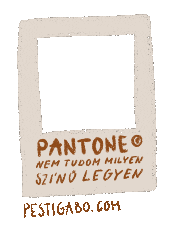 Pesti_Gabo Sticker