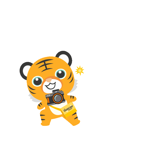 Photography Camera Sticker by tigerairhoojiang