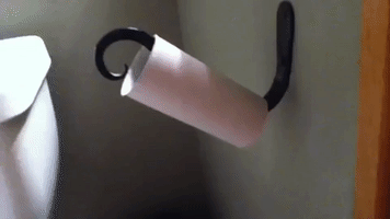 toilet paper roll GIF