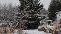 Light Snow Blankets Northern Maine
