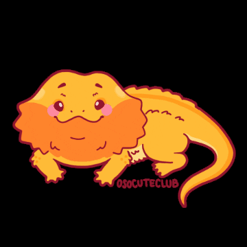 Cute GIF