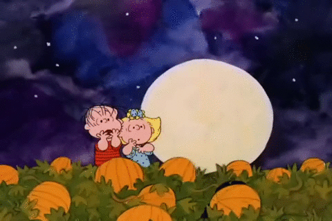 Its The Great Pumpkin Charlie Brown Halloween GIF by Peanuts - Find