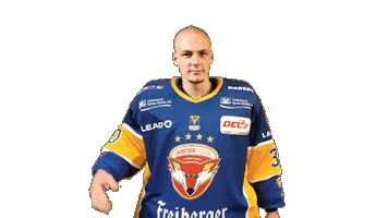 Icanthearyou Celebrate Sticker by Lausitzer Füchse