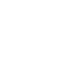 Cicada Cigale Sticker by Areis