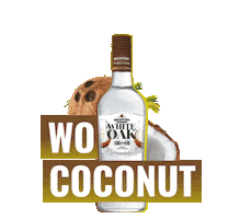 Coconut Wo Sticker by AngosturaPremiumRums