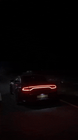 Dodo Hasan GIF