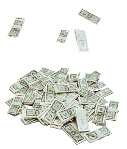 Evohair Byebuybuy Sticker