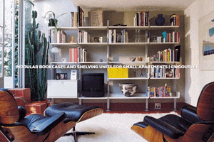 Glass Door Bookcases GIF