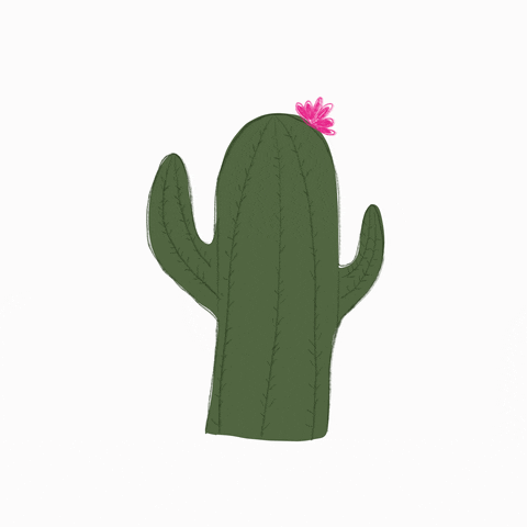 Fun GIF