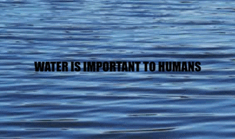 Water Gif GIF