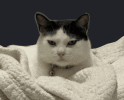 Negative Reaction Judging GIF