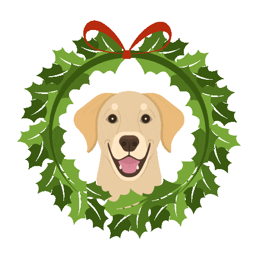 Source: Taste of the Wild Source: Taste of the Wild