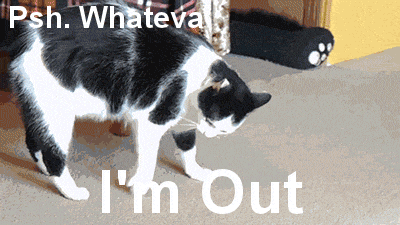 cat whatever GIF