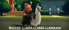 happy llama GIF