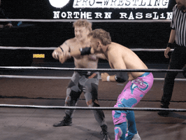 Pro Wrestling Fighting GIF