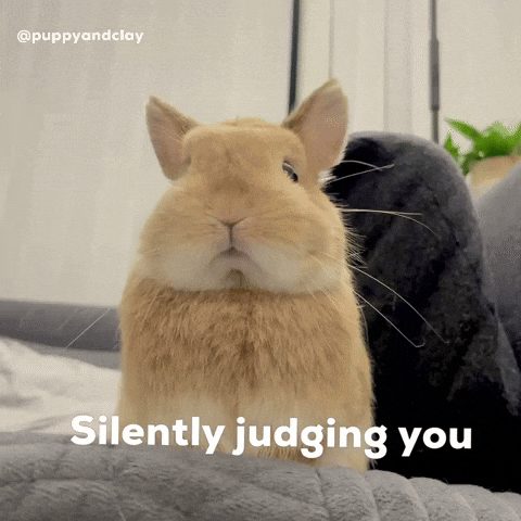 Silently Judging You GIF
