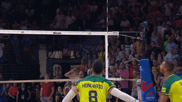 Jump Wow GIF by Volleyball World