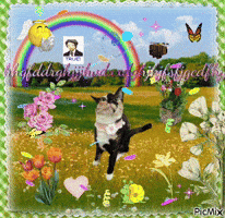 Cat Keyboard Smash GIF