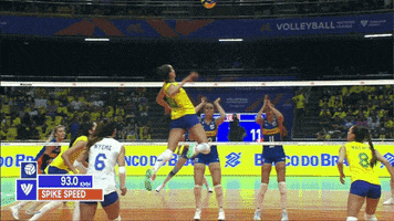 Take That Jump GIF by Volleyball World