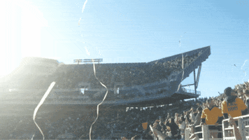 Game Day Football GIF by James Madison University