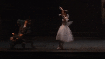 Enbsylphide GIF by English National Ballet