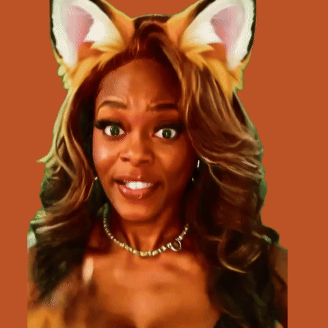 Foxxe Banner