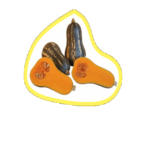 Sticker by Planet Oliver