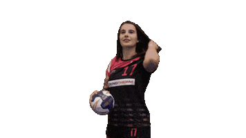 Dhcfamily Sticker by DHC Plzen