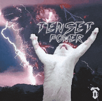 Cat Power GIF by TENSET
