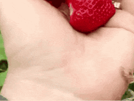 GIF by Mini-Farm Grow Kits