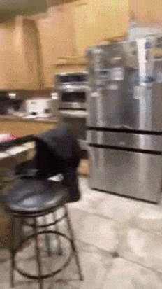 Brown University GIF