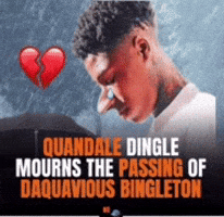 Sad Dingle GIF